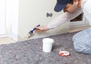 mold inspection dedham ma